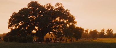 Still from Django Unchained (2012) that has been tagged with: establishing shot & trees