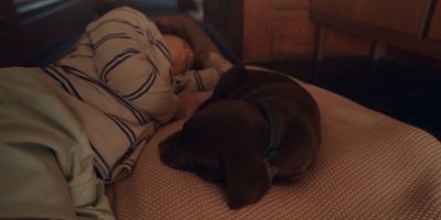 Still from Commercial: The Farmer’s Dog — "Forever" that has been tagged with: medium shot