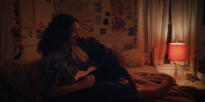 Still from Commercial: The Farmer’s Dog — "Forever" that has been tagged with: practical lamp