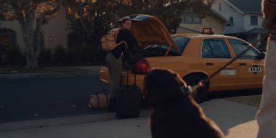 Still from Commercial: The Farmer’s Dog — "Forever" that has been tagged with: looking back