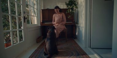 Still from Commercial: The Farmer’s Dog — "Forever" that has been tagged with: dog & pregnant