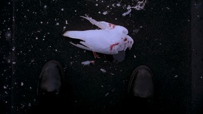 Still from Ghost Dog: The Way of the Samurai (1999) that has been tagged with: day & top-down & bird