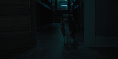 Still from Hereditary (2018) that has been tagged with: 004852 & doorway & interior