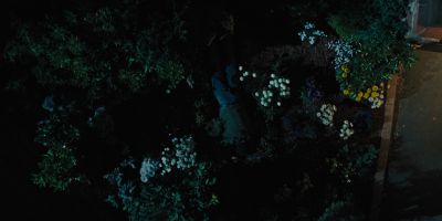 Still from Hereditary (2018) that has been tagged with: top-down & flowers