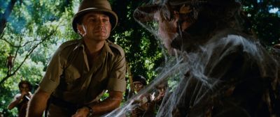 Still from Indiana Jones and the Raiders of the Lost Ark (1981) that has been tagged with: 355f3b & cobweb