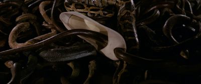Still from Indiana Jones and the Raiders of the Lost Ark (1981) that has been tagged with: shoe & snakes