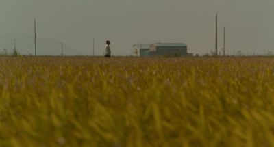 Still from Memories of Murder (2003) that has been tagged with: day & field & wide shot & clean single