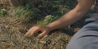 Still from Midsommar (2019) that has been tagged with: hand & grass