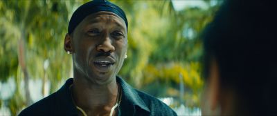 Still from Moonlight (2016) that has been tagged with: 546a2f & medium close-up