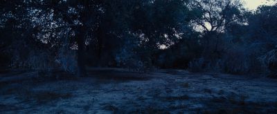 Still from Nocturnal Animals (2016) that has been tagged with: wide shot & tree