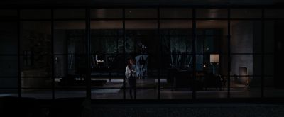 Still from Nocturnal Animals (2016) that has been tagged with: extreme wide & clean single & window