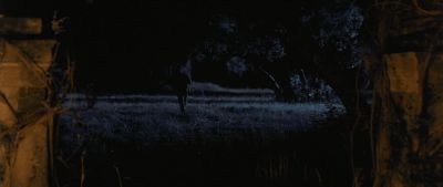 Still from O Brother, Where Art Thou? (2000) that has been tagged with: wide shot & night & running