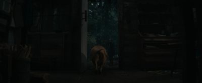 Still from Pig (2021) that has been tagged with: doorway & woods & interior