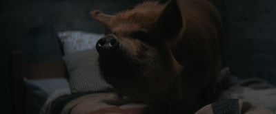 Still from Pig (2021) that has been tagged with: bed & shack & interior