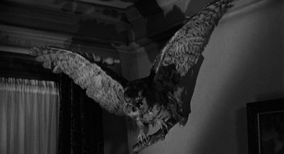 Still from Psycho (1960) that has been tagged with: taxidermy & black and white & owl & night