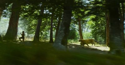 Still from RRR (2022) that has been tagged with: running & jungle
