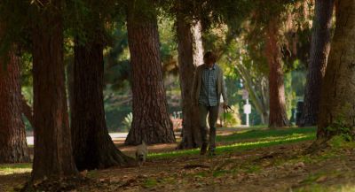 Still from Ruby Sparks (2012) that has been tagged with: 6b8f24 & night & dog & exterior & park