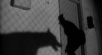 Still from Rumble Fish (1983) that has been tagged with: silhouette