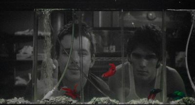 Still from Rumble Fish (1983) that has been tagged with: day & medium close-up & black and white & fish