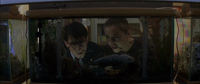Still from Rushmore (1998) that has been tagged with: fish tank & aquarium & medium shot