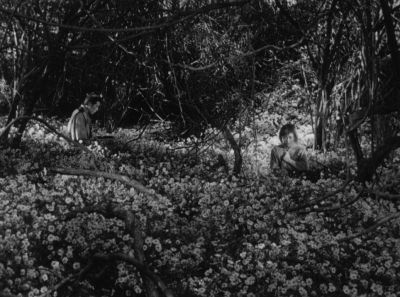 Still from Seven Samurai (1954) that has been tagged with: flowers