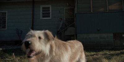 Still from TV Show: Netflix — "Stranger Things: Season 1 - Episode 1" that has been tagged with: 9f816f