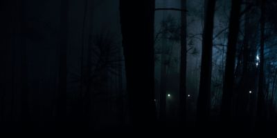 Still from TV Show: Netflix — "Stranger Things: Season 1 - Episode 1" that has been tagged with: night & extreme wide & forest & woods