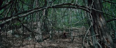 Still from Swallow (2019) that has been tagged with: forest & running