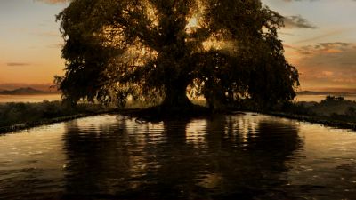 Still from The Fountain (2006) that has been tagged with: a67a59 & wide shot & river & tree
