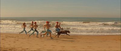 Still from The Life Aquatic with Steve Zissou (2004) that has been tagged with: dog
