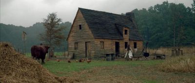Still from The New World (2005) that has been tagged with: period & cows & exterior & wide shot & day & chicken