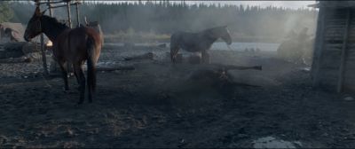 Still from The Revenant (2015) that has been tagged with: war zone & forest