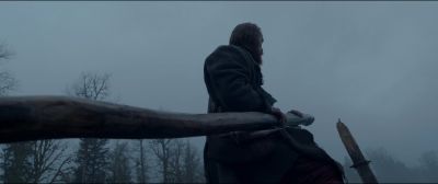 Still from The Revenant (2015) that has been tagged with: low-angle & day & river