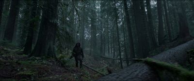 Still from The Revenant (2015) that has been tagged with: low-angle & forest & clean single & exterior & woods