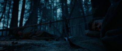 Still from The Revenant (2015) that has been tagged with: forest & day & laying down & sleeping