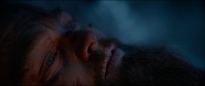 Still from The Revenant (2015) that has been tagged with: night & clean single & extreme close-up