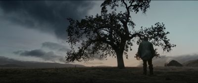 Still from The Revenant (2015) that has been tagged with: exterior & over-the-shoulder & tree & clean single
