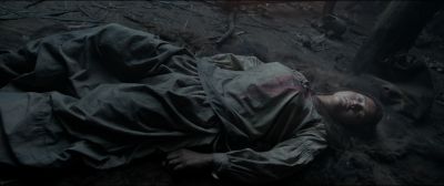 Still from The Revenant (2015) that has been tagged with: ground & laying down & clean single & dead body