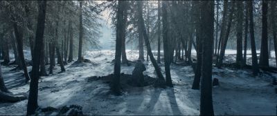 Still from The Revenant (2015) that has been tagged with: exterior & hole