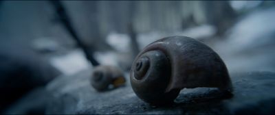 Still from The Revenant (2015) that has been tagged with: day & snail