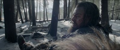 Still from The Revenant (2015) that has been tagged with: 0f0f0f