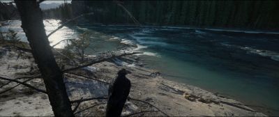 Still from The Revenant (2015) that has been tagged with: forest & wilderness & river & beach & high-angle