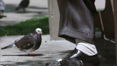 Still from The Shawshank Redemption (1994) that has been tagged with: day & shoes & pigeon