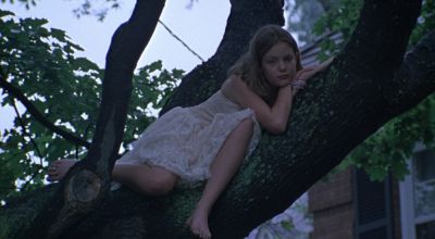 Still from The Virgin Suicides (1999) that has been tagged with: tree