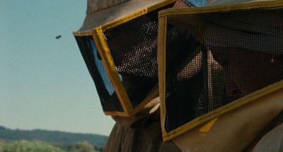 Still from The Wonders (2014) that has been tagged with: bee suit & day