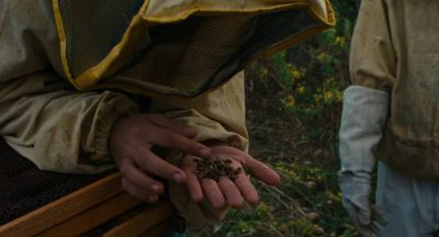 Still from The Wonders (2014) that has been tagged with: hands & bee suit & bee & day