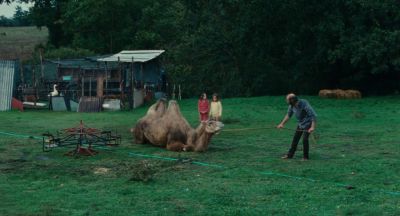 Still from The Wonders (2014) that has been tagged with: merry-go-round & camel