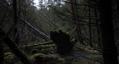 Still from Under The Skin (2013) that has been tagged with: day & exterior & forest